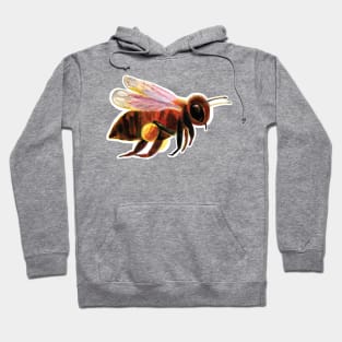 A flying honey bee carrying pollen sacs Hoodie